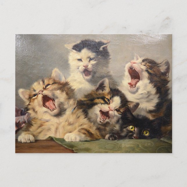 Cartão Postal Sinfonia de Gatinhos por Julius Adam II (Frente)