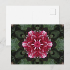 Cartão Postal Sinfonia de Pétalas