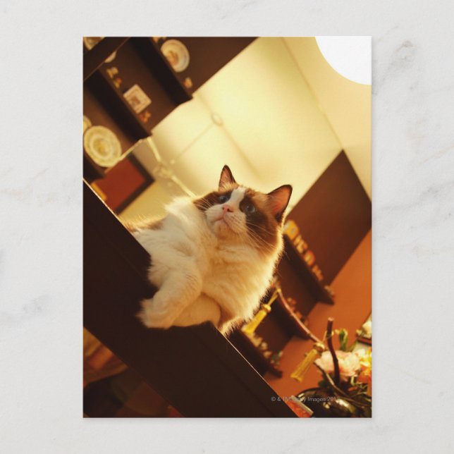 Cartão Postal Singapura 6 (Frente)