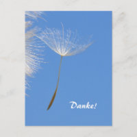 Sinta-se livre - Sementes de Dandelion voadoras