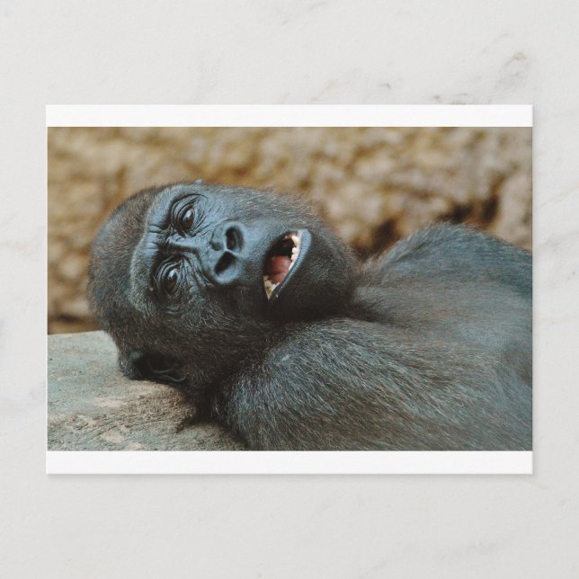 Cartão Postal "Sinto-me tão sonolento" (Frente)