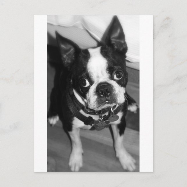 CARTÃO POSTAL SINTO MUITO (Frente)