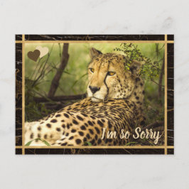 Cartão Postal Sinto muito, Cheetah Image