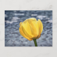 Sinto Saudades de Você Com Flor de Tulipa Amarela 