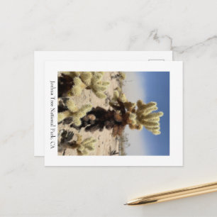 Cartão Postal Sinto sua falta - Parque Nacional Joshua Tree, CA