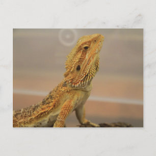 Cartão Postal Sir Charles Posing