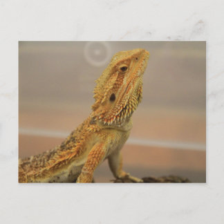 Cartão Postal Sir Charles Posing