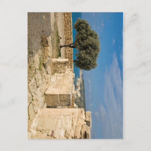 Cartão Postal Sítio arqueológico de Kourion, Chipre