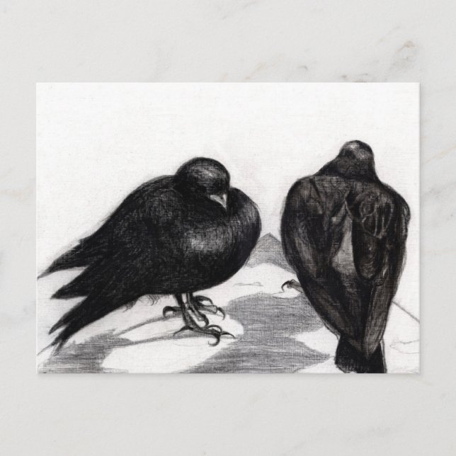 Cartão Postal Situação grave dos pombos em 2012 (Frente)