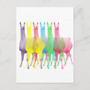 Cartão Postal six lamas in six llama colors