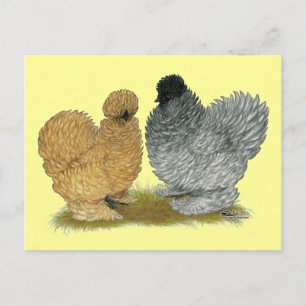 Cartão Postal Sizzle Chickens