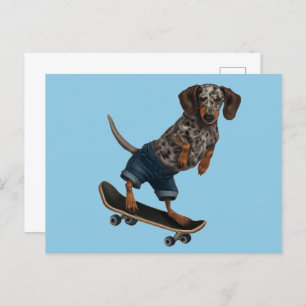 Cartão Postal Skate Dachshund