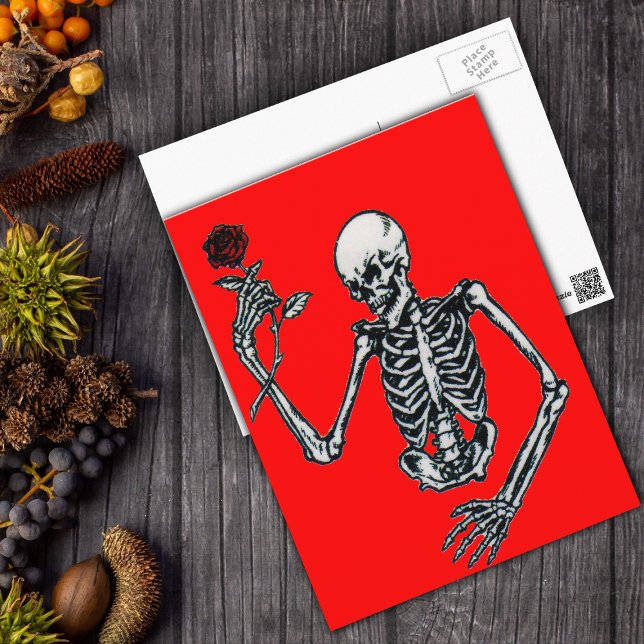 Cartão Postal Skeleton com Cartão-Postal Rosa (Creepy skeleton holding single red rose on vibrant red postcard for Halloween or Valentine's Day.)
