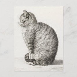 Cartão Postal Sketch de Gato Bonito Jean-Bernard Duvivier