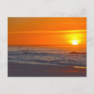 Cartão Postal Skimmers Voando ao Nascer do Sol, Praia da Flórida