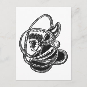 Cartão Postal Skinside Out