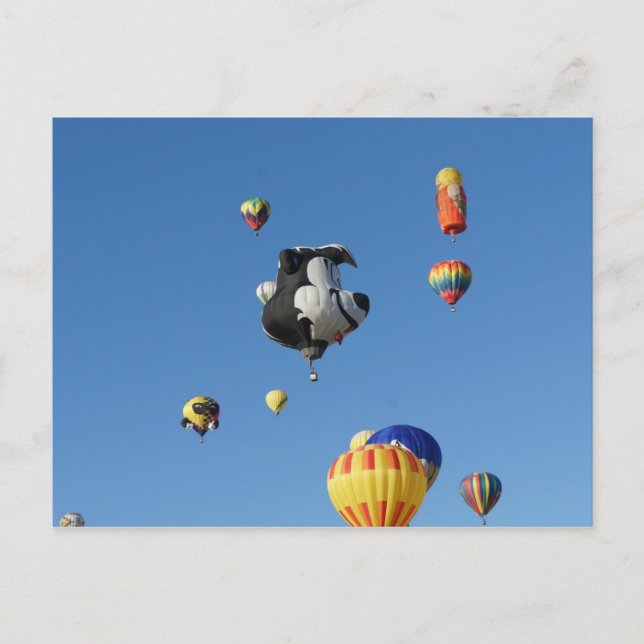 Cartão Postal Skunk Voador (Frente)