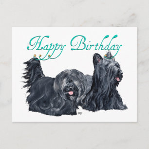Cartão Postal Skye Terrier Birthday Cards