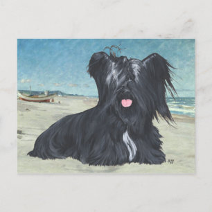 Cartão Postal Skye Terrier na praia