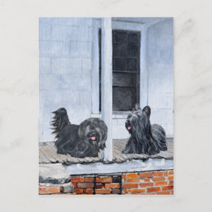 Cartão Postal Skye Terriers esperam no alpendre