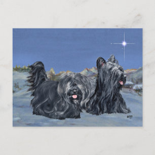 Cartão Postal SKYE Terriers numa Noite de Inverno