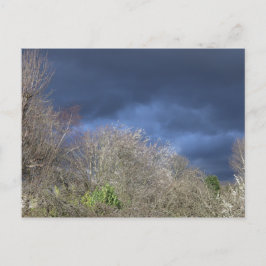 Cartão Postal Skyline Azul Profundo