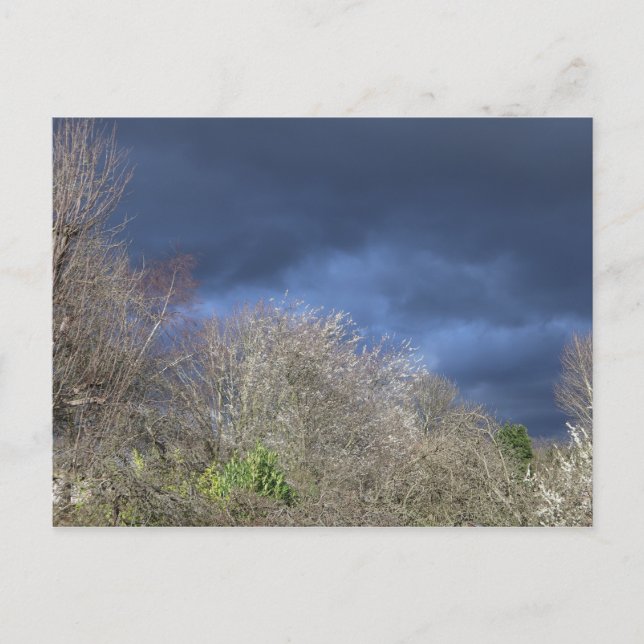 Cartão Postal Skyline Azul Profundo (Frente)