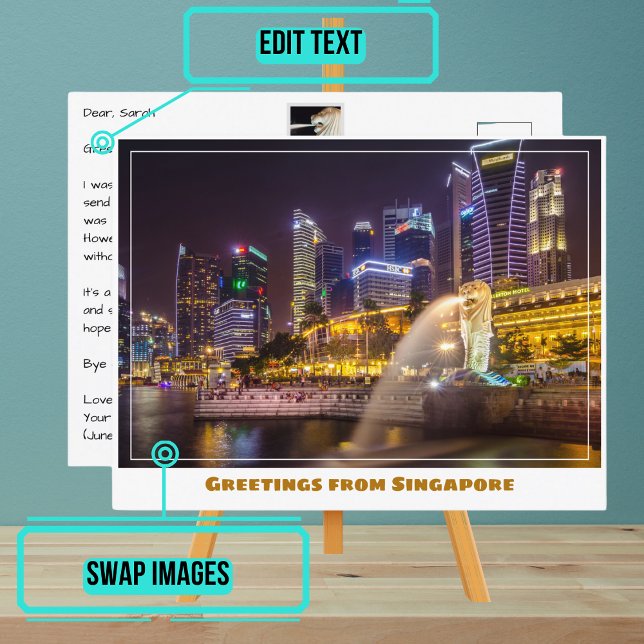 Cartão Postal Skyline de Cingapura à Noite com o Merlion (Please enjoy our postcard and see the others in the collection.)