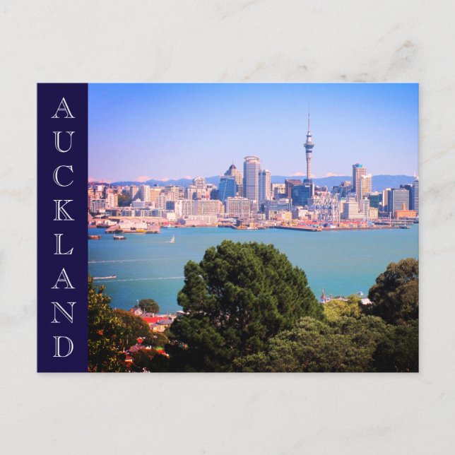 Cartão Postal skyline nz (Frente)