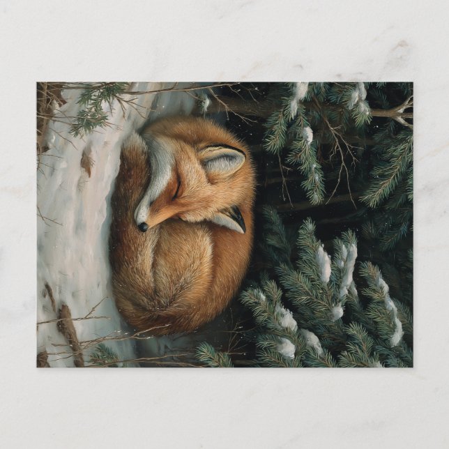 Cartão Postal Sleeping Fox in Winter Forest (Frente)