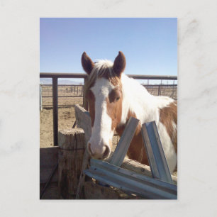 Cartão Postal Sleepy Eyed Paint