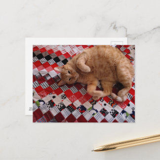 Cartão Postal Sleepy Ginger Kitty on a red quilt