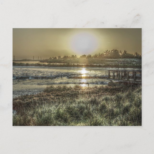 Cartão Postal Slough at Dawn Postcard (Frente)