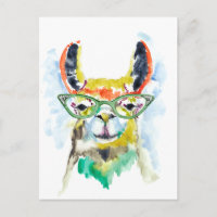 Smarty Pants Llama