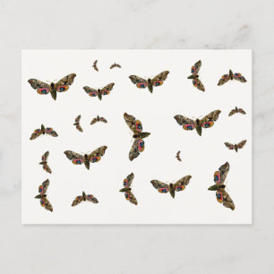 Cartão Postal Smerinthus ocellata - Olhos Hawk-Moth - Imagem a c