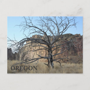 Cartão Postal Smith Rock Rocks