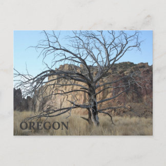 Cartão Postal Smith Rock Rocks