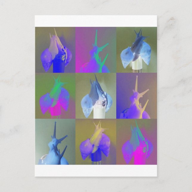 Cartão Postal Snail Pop Art (Frente)