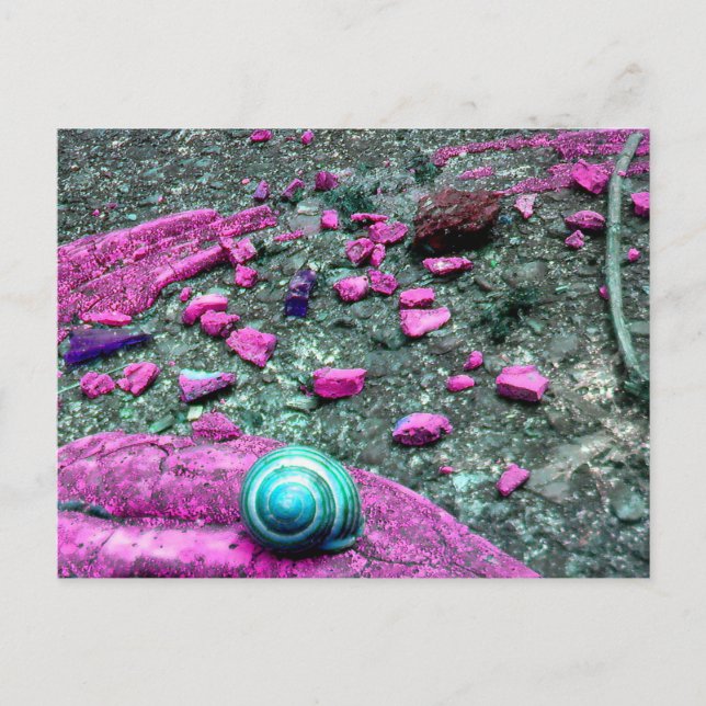 Cartão postal “SnailShell " (Frente)