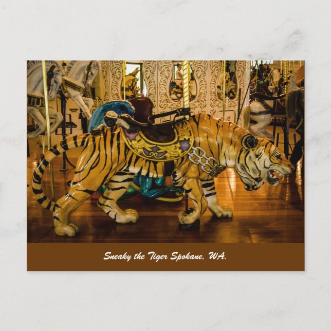 Cartão Postal Sneaky, o Tiger Spokane, WA. (Frente)
