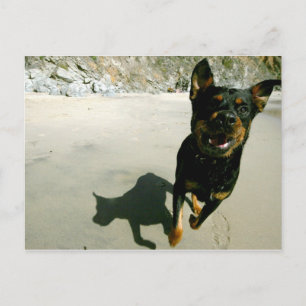 Cartão Postal Snoop