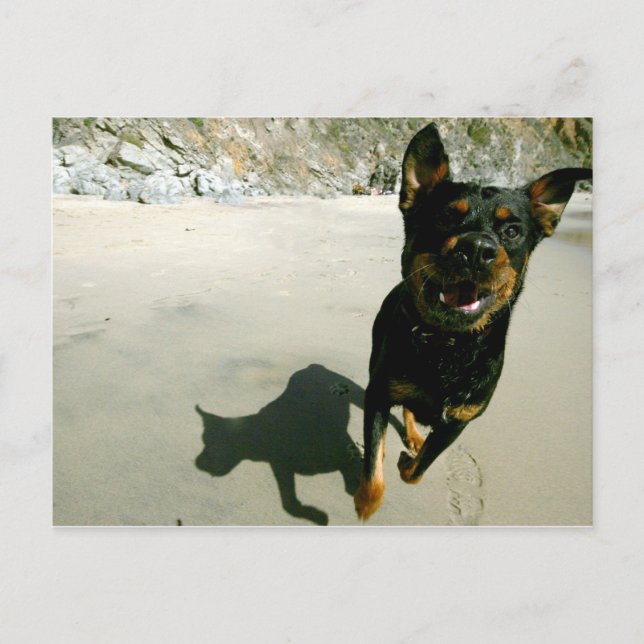 Cartão Postal Snoop (Frente)