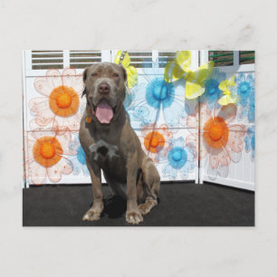 Cartão Postal Snoop - Neopolan Mastiff -3