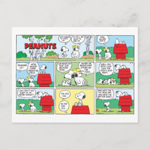 Cartão Postal Snoopy e seus irmãos Andy e Olaf