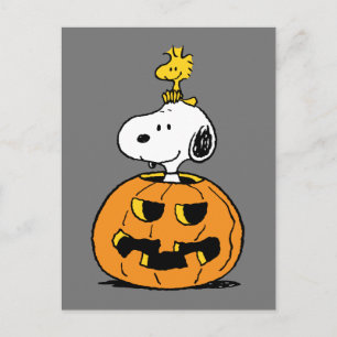 Cartão Postal Snoopy & Woodstock Pumpkin