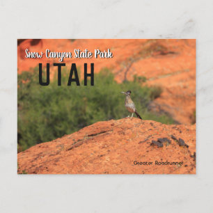 Cartão Postal Snow Canyon Roadrunner Utah