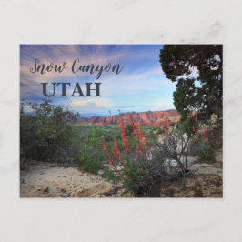 Cartão Postal Snow Canyon Utah Selvagens