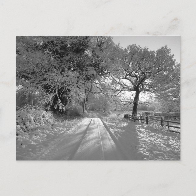 Cartão Postal Snow Landscape: Cheshire (Frente)