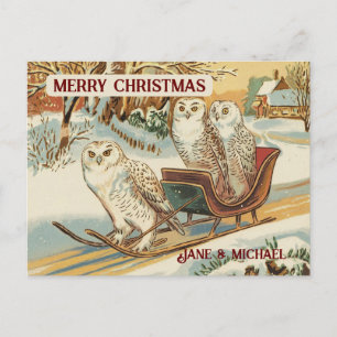 Cartão Postal Snow Owl - Feliz Nome de Natal