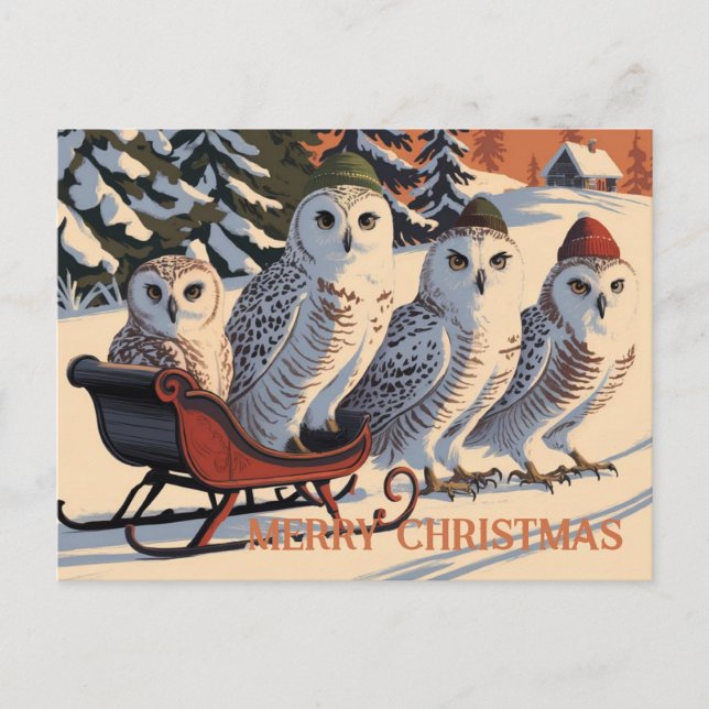 Cartão Postal Snow Owl Felry Christmas (Frente)